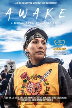 Awake, a Dream from Standing Rock