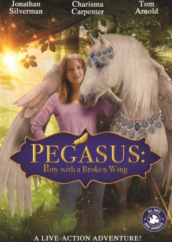 Пегас: Волшебный пони