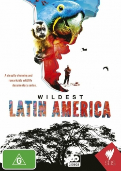 В дебрях Латинской Америки